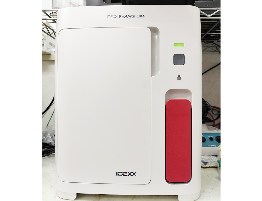 八千代市大和田・西村どうぶつ病院