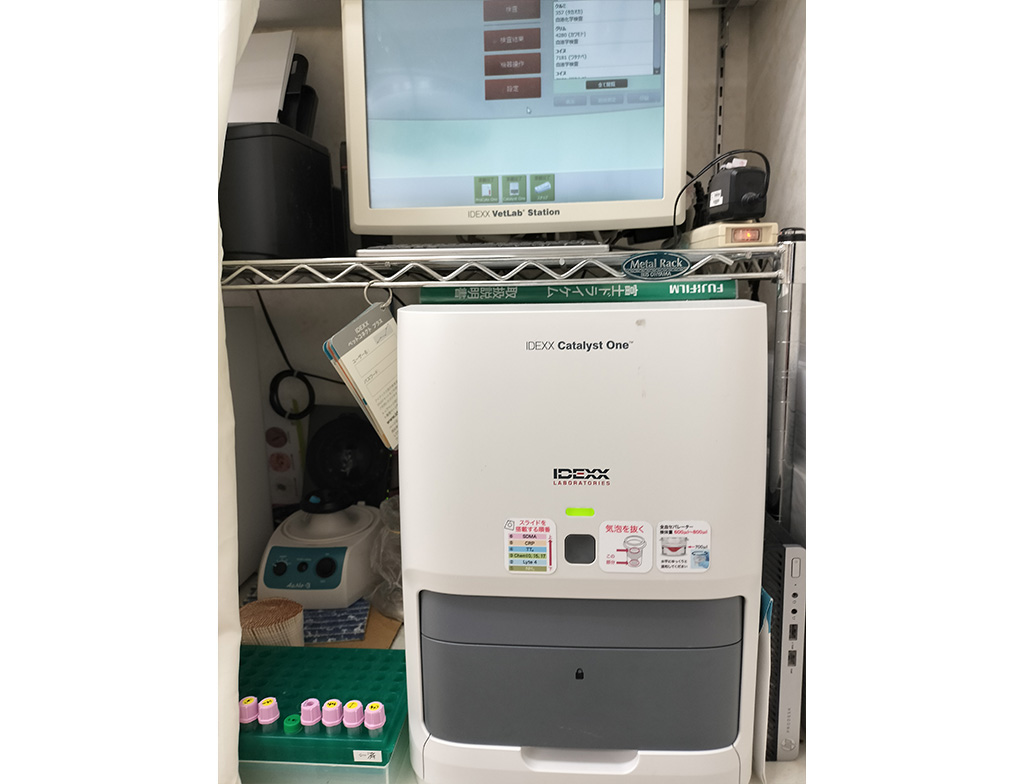 八千代市大和田・西村どうぶつ病院